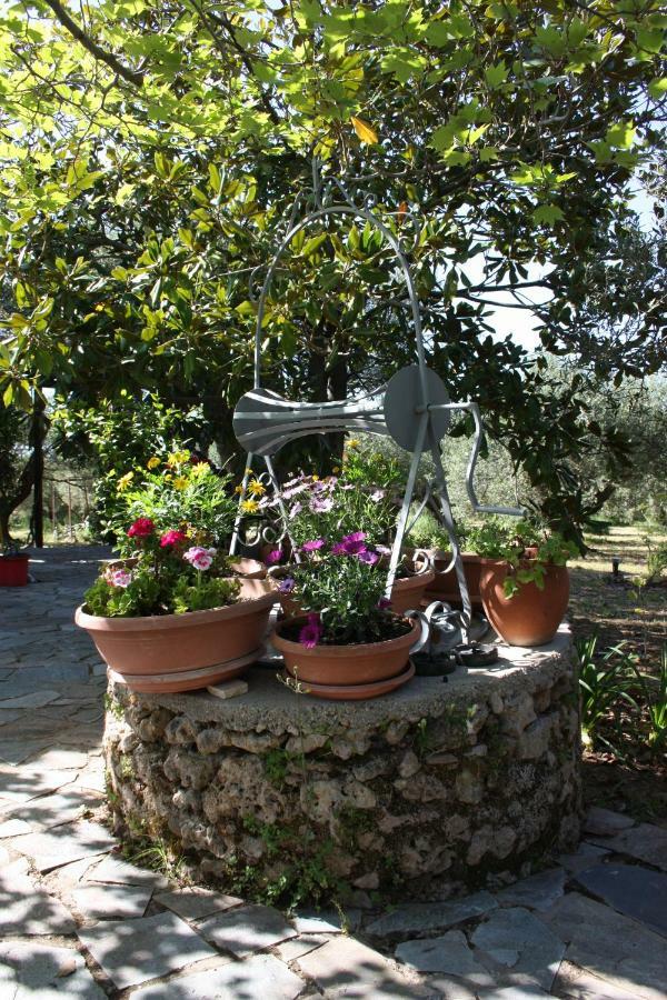 Mercouri Stone Cottage Korakokhórion المظهر الخارجي الصورة