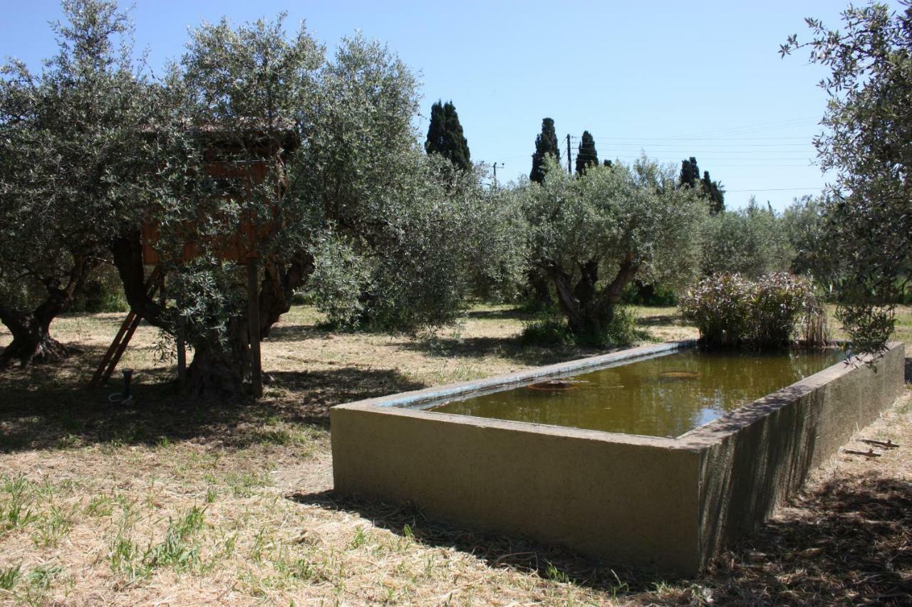 Mercouri Stone Cottage Korakokhórion المظهر الخارجي الصورة