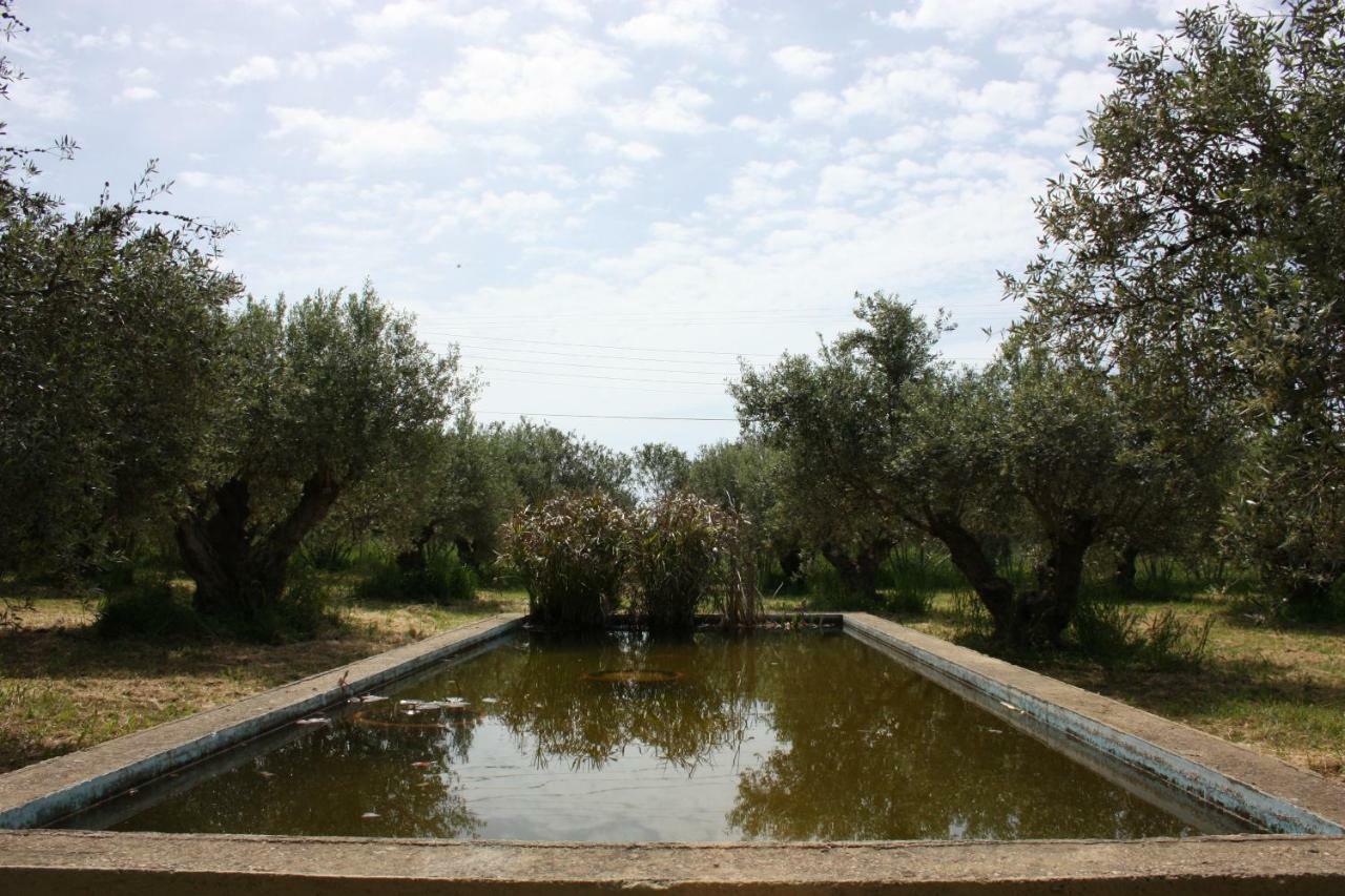 Mercouri Stone Cottage Korakokhórion المظهر الخارجي الصورة